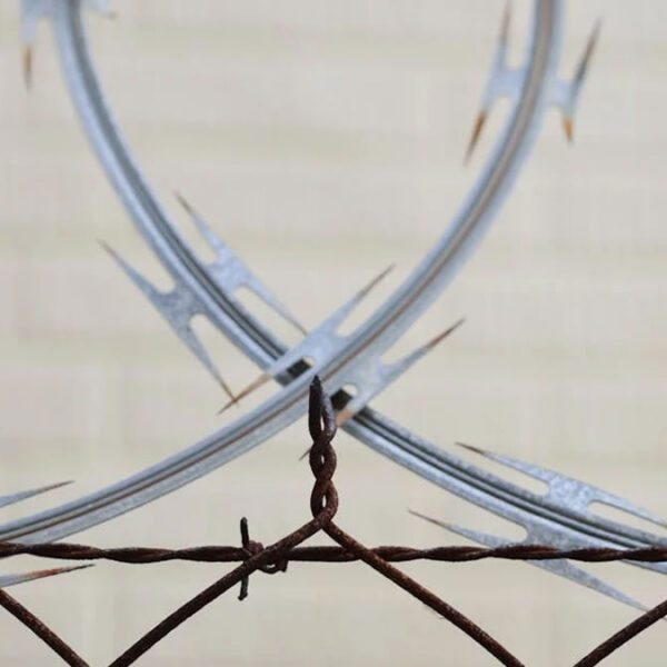 Home 9 Qual a Diferença de Serpentina para Concertina: Comparativo